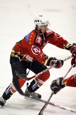 avg-hokej-b-010.jpg