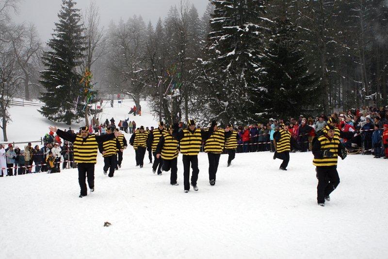 feb-svinjska-glava-b-054.jpg