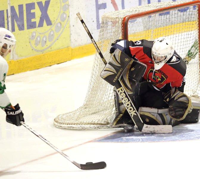 mar-hokej-h-olimpija-011.jpg