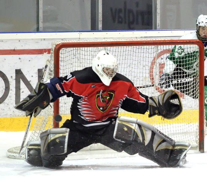 mar-hokej-h-olimpija-030.jpg