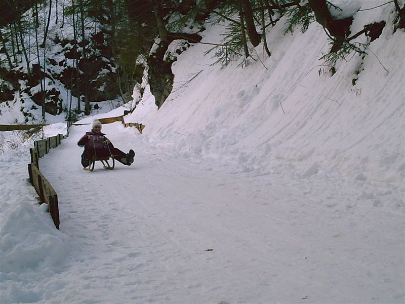 feb-sankanje-a-003.jpg