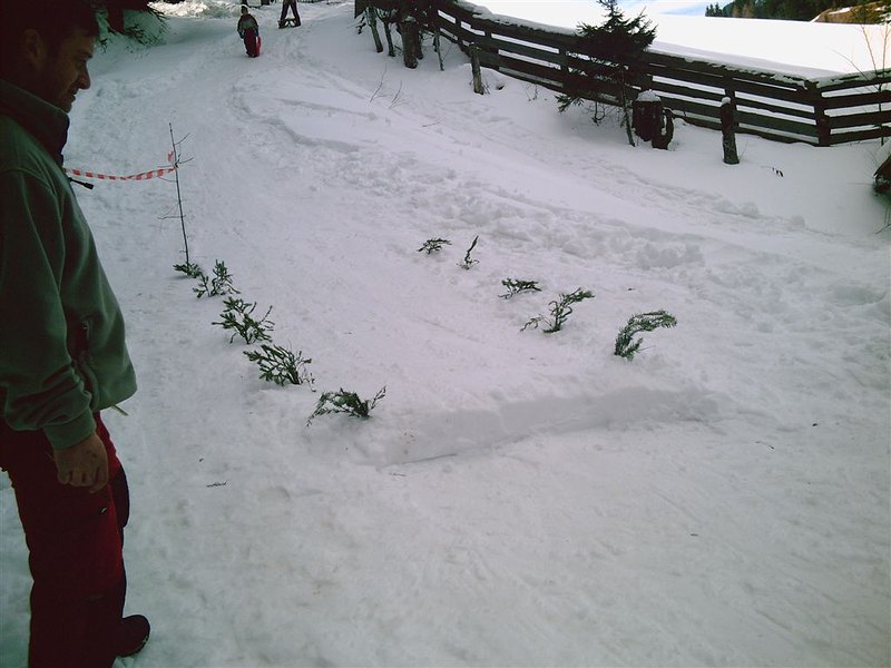 feb-sankanje-a-015.jpg