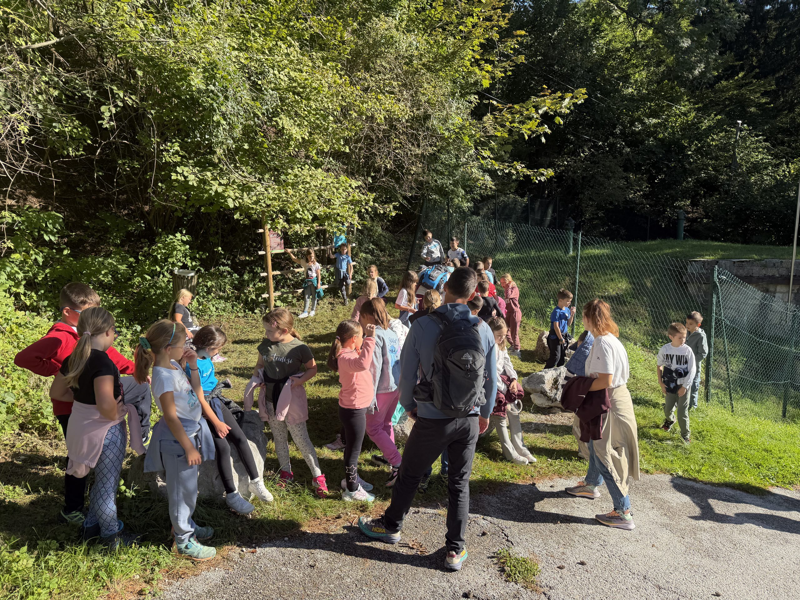 Aktivnosti v naravi